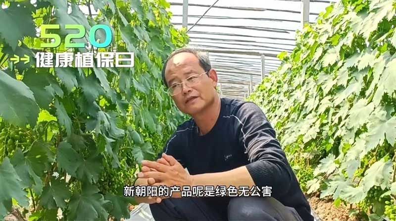 520健康植保日——擁抱綠色農業，我們在行動