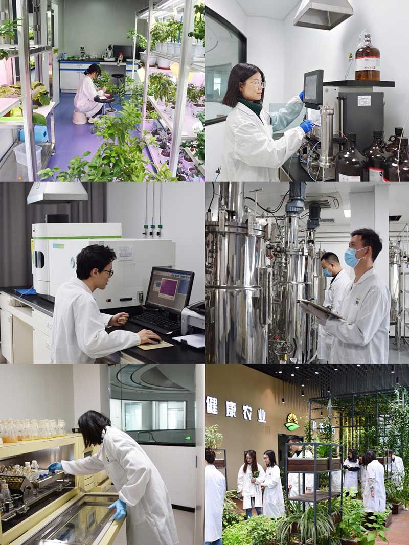 “全國科技工作者日”：推動農業綠色高質量發展，新朝陽科研人在路上