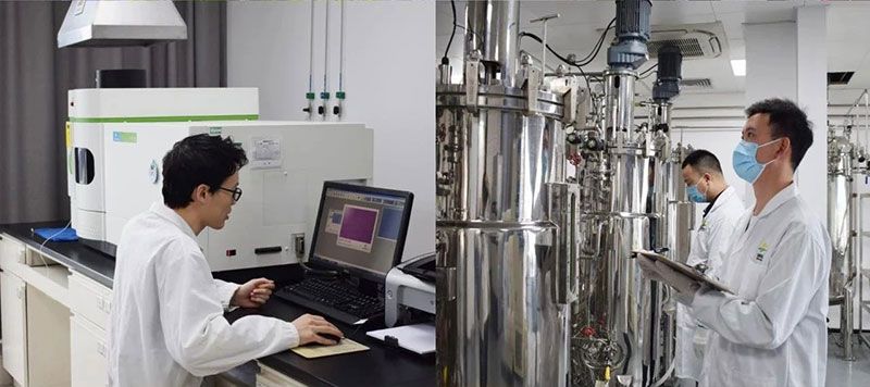 打造新朝陽生物科技“五張名片”，服務(wù)農(nóng)業(yè)高質(zhì)量發(fā)展！