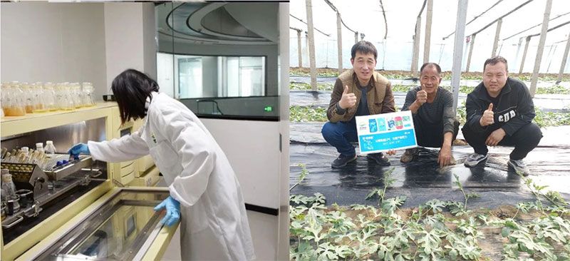 打造新朝陽生物科技“五張名片”，服務(wù)農(nóng)業(yè)高質(zhì)量發(fā)展！