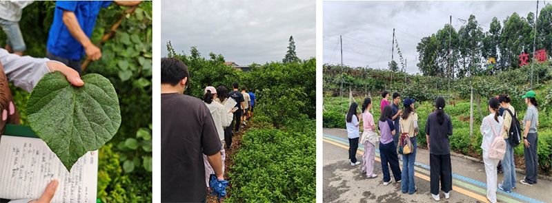 首個!中國農(nóng)業(yè)大學攜手新朝陽啟動“朝陽稼穡計劃”