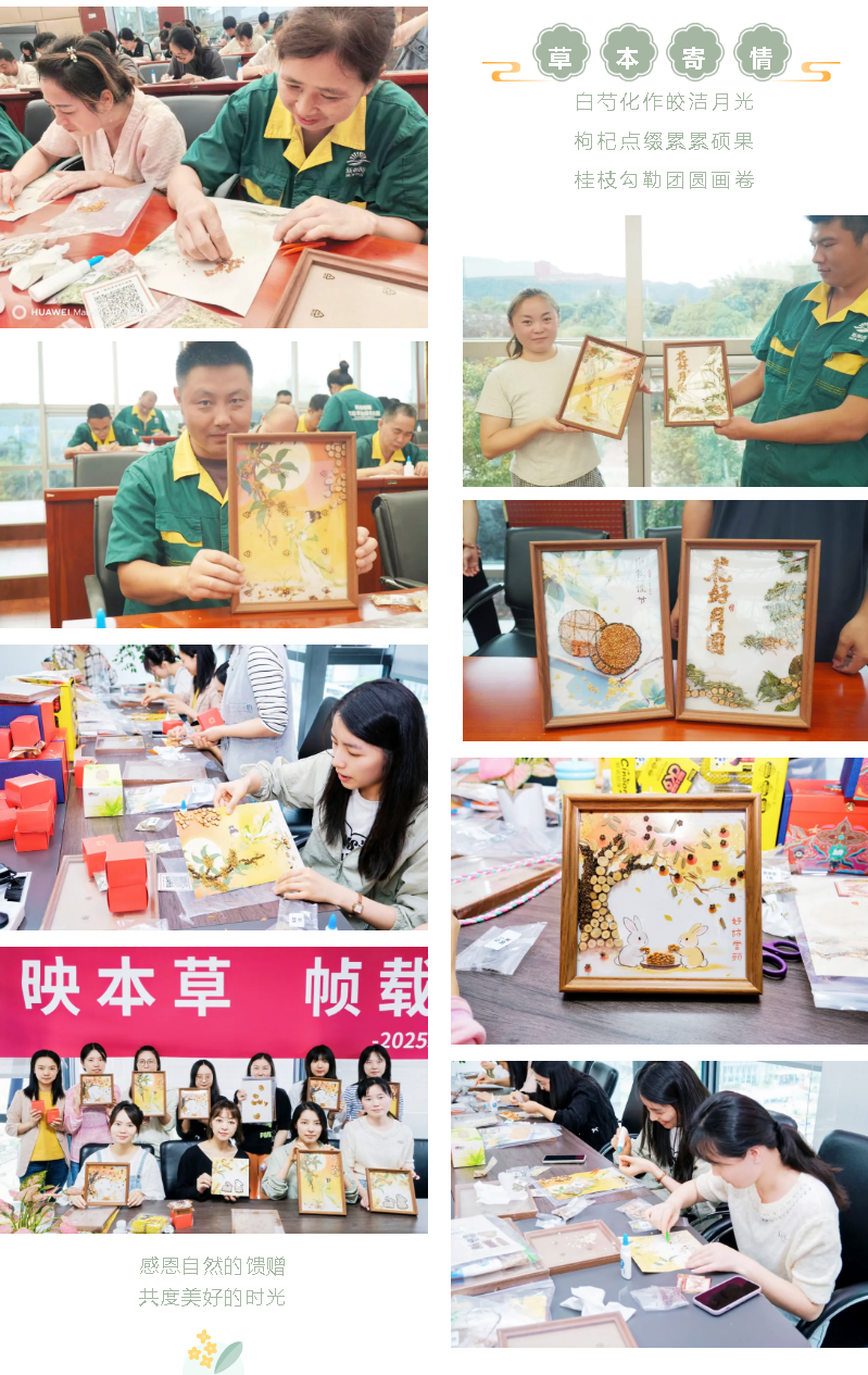 月滿人團(tuán)圓 朝陽共此時(shí)