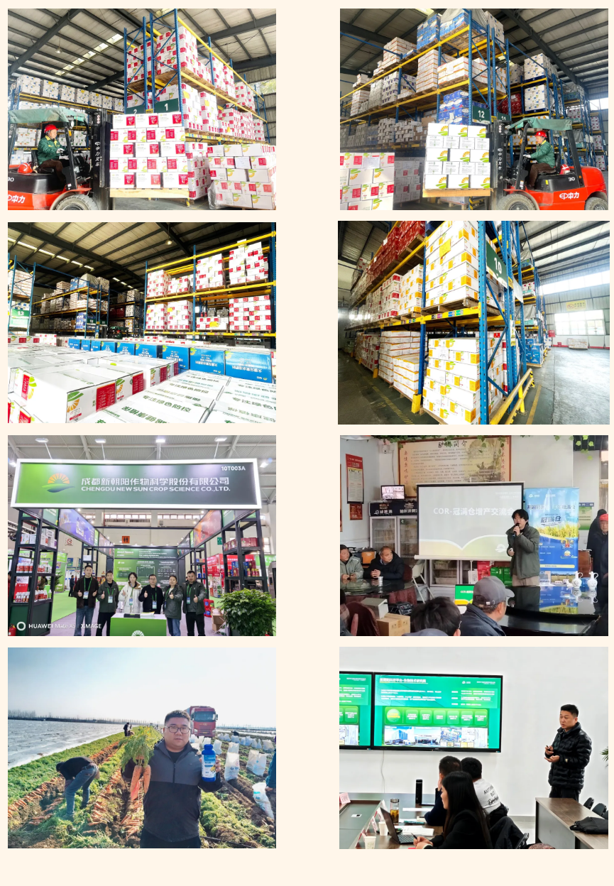 快馬加鞭戰(zhàn)春耕,馬年奮進正當時